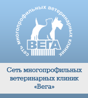 Проблеми з диханням у собак причини і основні рекомендації - вега 24 години