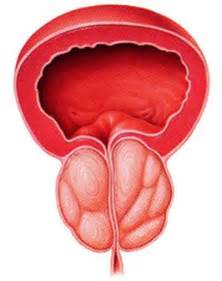 Prostatita la bărbații în vârstă, tratamentul prostatitei la vârstnicii în vârstă