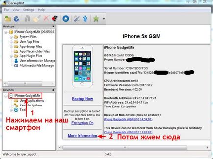 Verificați numărul de cicluri de încărcare pentru iPhone