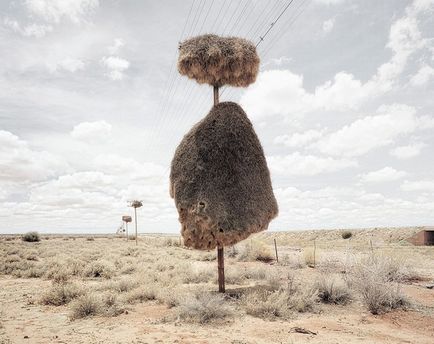 Deserturile africane, natura planetei în lentilă