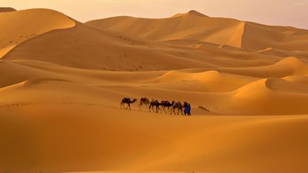 Deserturile africane, natura planetei în lentilă