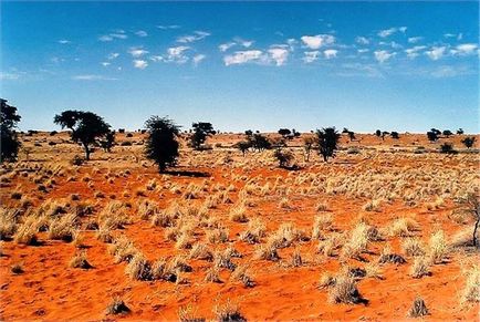 Deserturile africane, natura planetei în lentilă