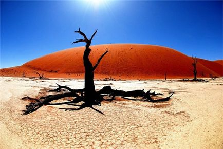 Deserturile africane, natura planetei în lentilă