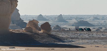 Deserturile africane, natura planetei în lentilă