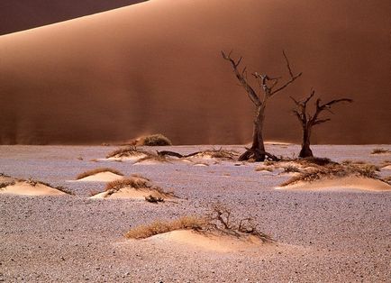 Deserturile africane, natura planetei în lentilă