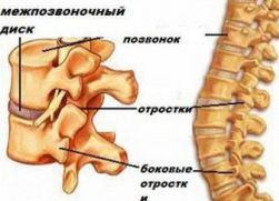 П'ять вправ Поля Брегга для відновлення хребта