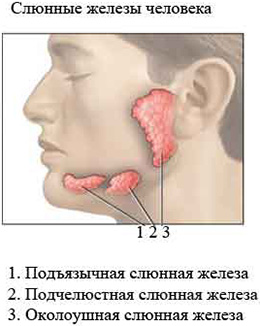 Cancerul simptomelor glandelor salivare și tratamentul oncocitomilor, un prognostic pentru viață