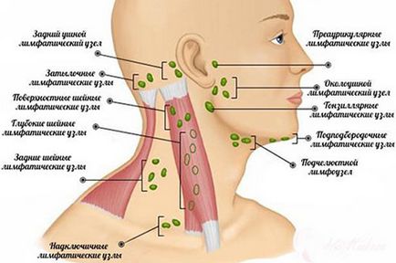 Cancerul simptomelor glandelor salivare și tratamentul oncocitomilor, un prognostic pentru viață