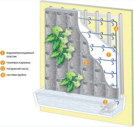 Plante pentru grădinărit vertical