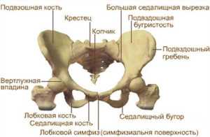 Розрив симфізу при пологах