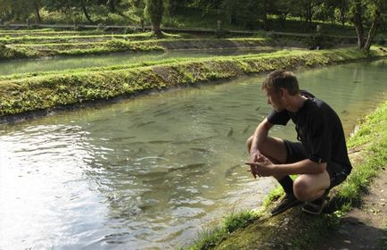 Trout a hazai és annak tartalmát - az üzleti terv, video