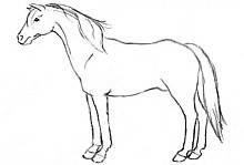 Desenați un cal, un blog al artistului