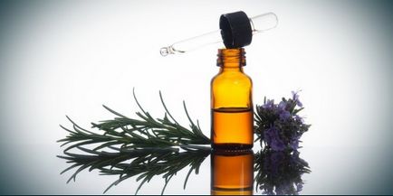 Rosemary - gyógyszer tulajdonságait és ellenjavallatok, jelzések és előkészítése tea, főzet és a tinktúra (tulajdonságok) Rosemary - gyógyszer tulajdonságait és ellenjavallatok, jelzések és elkészítése tea, főzet és tinktúra