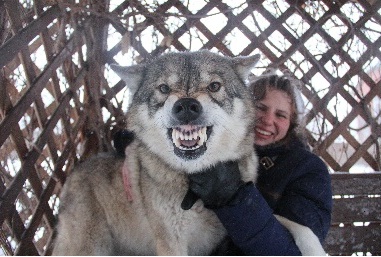 Wolfgangul rus este o personalitate puternică, cu un fler uimitor, dar are nevoie de un sef serios