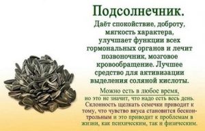 Насіння при підвищеному холестерин можна їсти