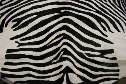 Piei de piele Zebra sunt mari și mici, albe și nu foarte - lamamia
