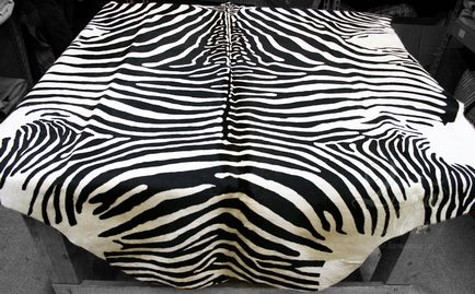 Piei de piele Zebra sunt mari și mici, albe și nu foarte - lamamia