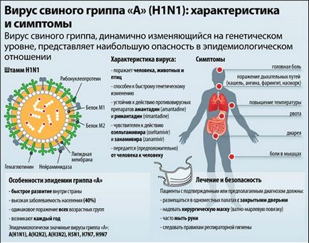 Симптоми свинячого грипу у людини в 2017 році перші ознаки h1n1