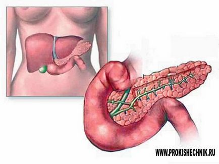 În ce scop sunt uzi ale cavității abdominale - despre intestin - tratamentul bolilor gastrointestinale