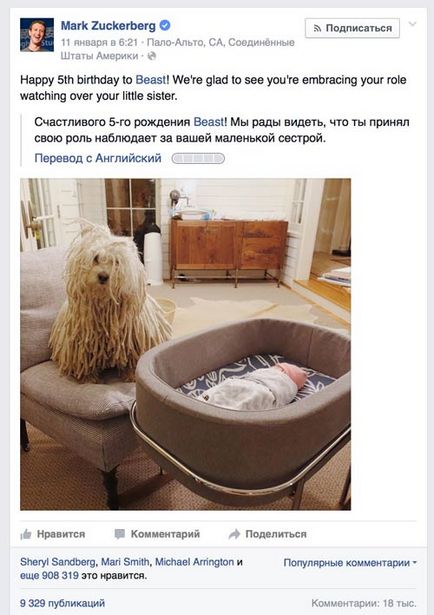 Câinele fiului lui Zuckerberg sărbătorește a 5-a aniversare - câini