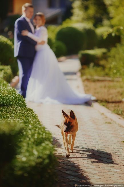 Весілля для двох в криму - wedding for two in crimea - фотограф - крим, севастополь, ялта, Алушта