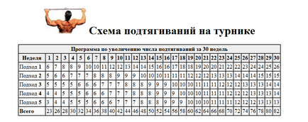 Схема підтягувань на турніку, як збільшити кількість підтягувань на турніку, збільшення