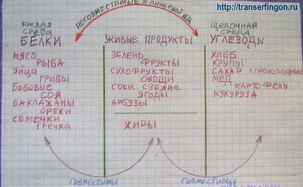 Таблиця сумісності продуктів - роздільне харчування