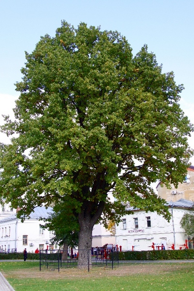 Tagansky park irányok