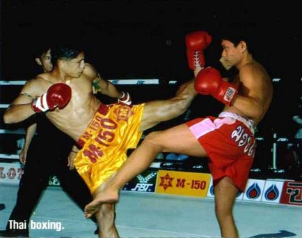 Thai boxing, enciclopedii din întreaga lume