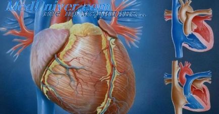 Тести з дитячої кардіології - лікування серця