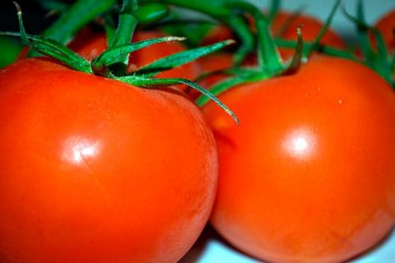 Tomato - ghețar - f1, caracteristici și descrierea soiului, randament, fotografie