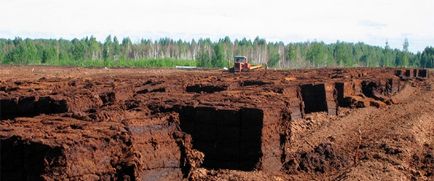 Торф для городу види, де добувають