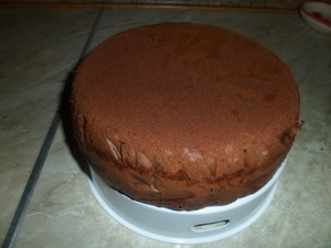 Торт пінчер кучерявиймой варіант або а-ля пінчер рецепт з фотографіями