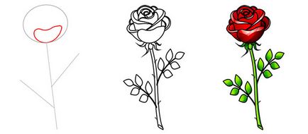 Cel de-al treilea exemplu este cum să desenezi un trandafir în creion pas cu pas