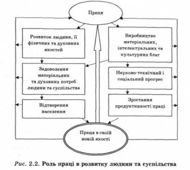 Праця як сфера життєдіяльності людини та провідний чинник виробництва, сутність категорії працю і