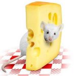 Brânză de brânză Philadelphia, ricotta, mascarpone