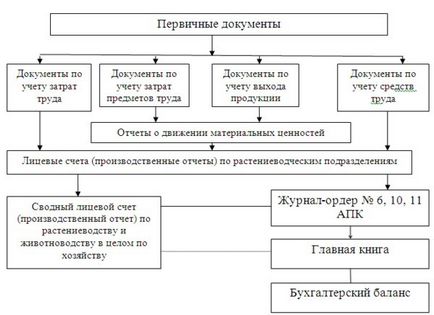 Inventarierea contabilă