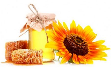 Дивовижний мед соняшнику корисні і лікувальні властивості