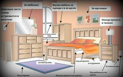 Оцет від клопів - порядок і ефективність застосування