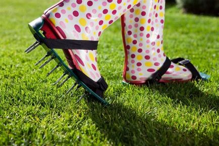 Lawn Care levegőztetés, fésülés technológia a ház előtt, gereblye, gépek, berendezések (technika) Lawn Care levegőztetés, fésülés technológia a ház előtt, gereblye, szerszámok, gépek,