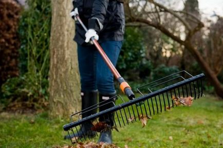 Lawn Care levegőztetés, fésülés technológia a ház előtt, gereblye, szerszámok, gépek, (gyep) Lawn Care levegőztetés, fésülés technológia a ház előtt, gereblye, szerszámok, gépek,