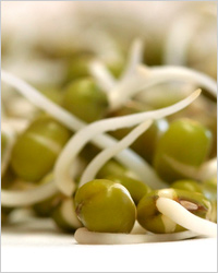 Lent - nagyböjti és enni jobbra (az egészséges táplálkozás). Lent - nagyböjti és rendesen enni