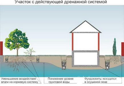 Види меліорації дачної ділянки своїми руками