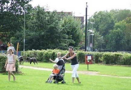 Câine de mers pe jos în Europa (Paris, cannes, oxford, england, oslo și t