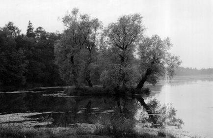 Водойми нашого міста