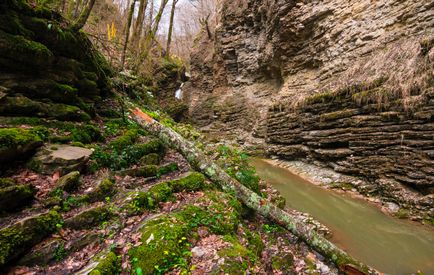 Водоспади Руфабго - фото, опис, ціни, маршрут