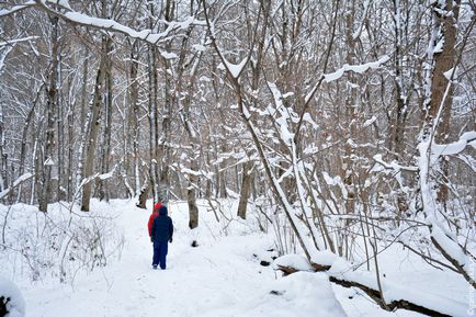 Водоспади Руфабго як дістатися пішки, клуб мандрівників Лукас тур