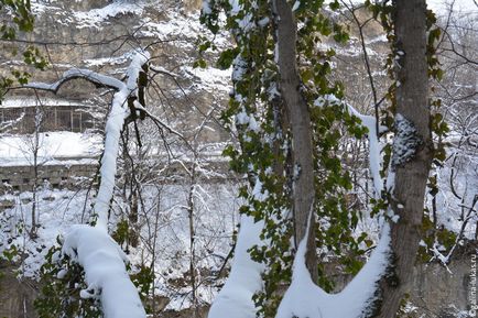 Водоспади Руфабго як дістатися пішки, клуб мандрівників Лукас тур