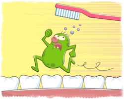Gingiile sau gingiile au inflamat decât clătirea și ce agenți de utilizat, totul despre dinți