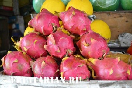 Mind-mind-mind arról Pitahaya (Dragon Fruit)